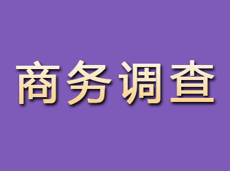 齐齐哈尔商务调查